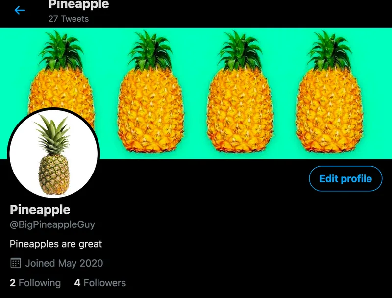Creating a Twitter Bot in Go cover image