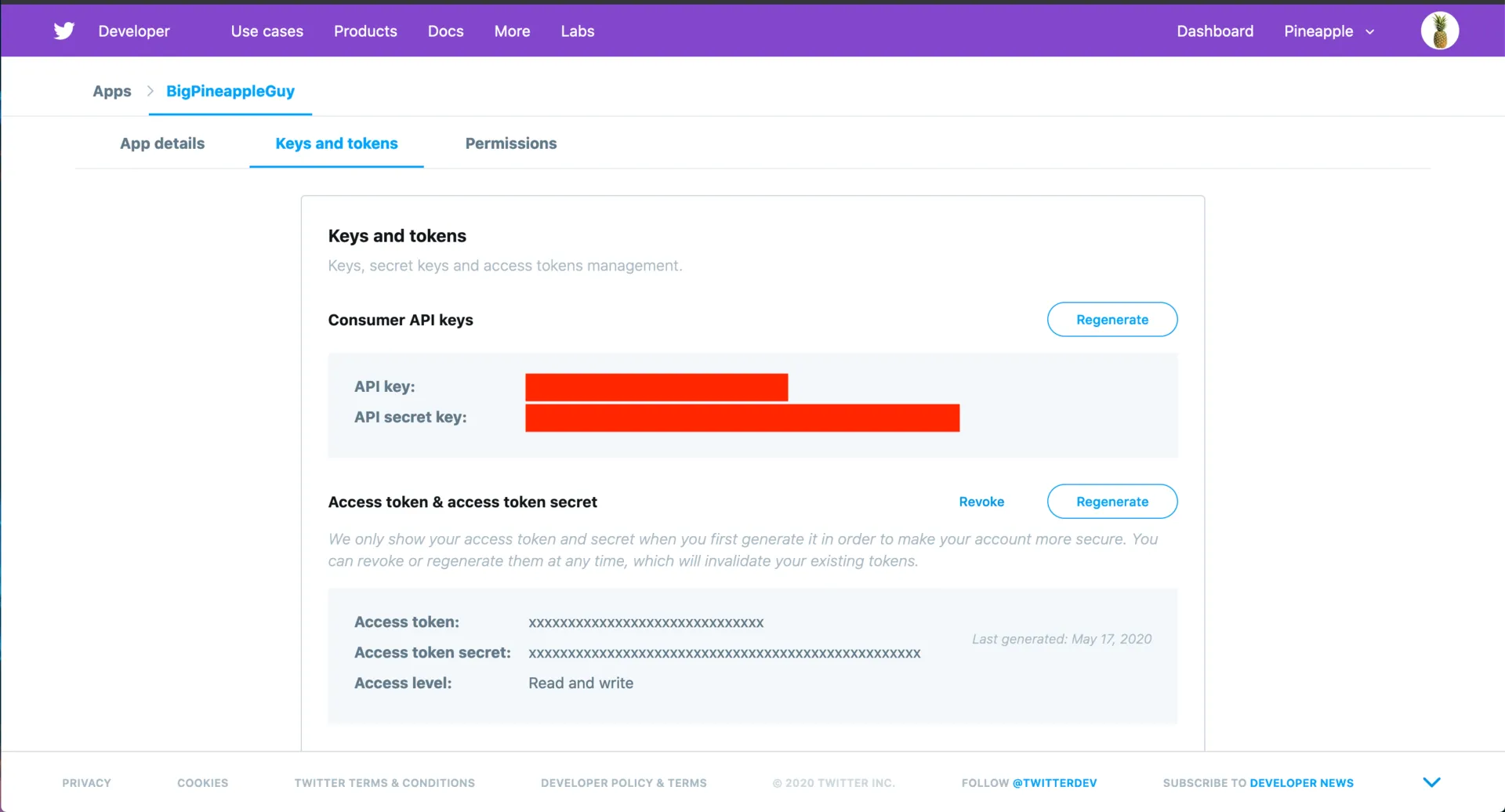 screenshot of the twitter developer page